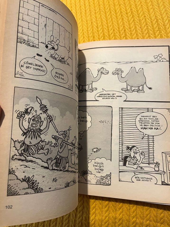Selçuk Erdem Mizah Kitabı 1. Baskı - Görsel 3