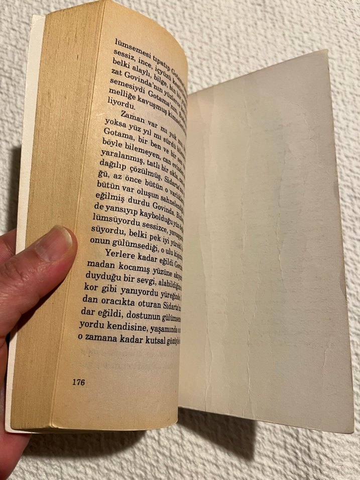 Sidarta - Hermann Hesse Roman - Görsel 3