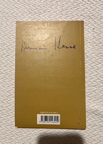 Bernhard Zeller - Hermann Hesse Romanı - Görsel 2