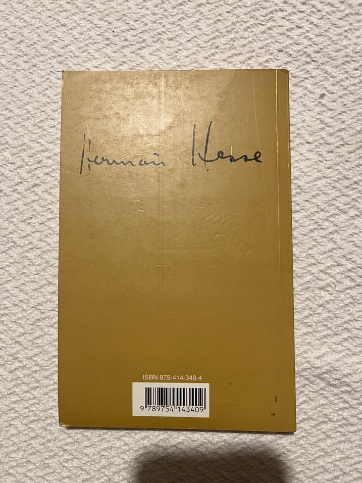 Bernhard Zeller - Hermann Hesse Romanı - Görsel 2