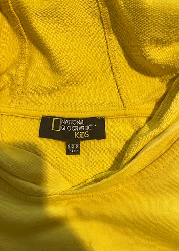 National Geographic Basic Sweatshirt - Görsel 4