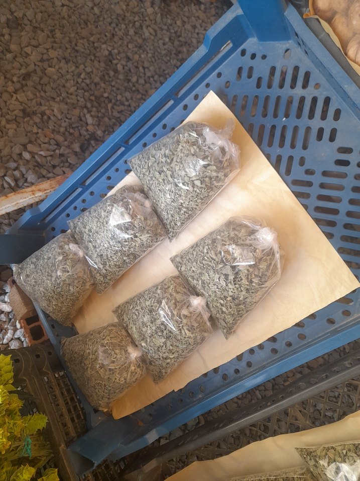 KEKIK YENI MAHSUL RESIMDEKI GIBI GONDERILIR AYIKLANIKTA - Görsel 3