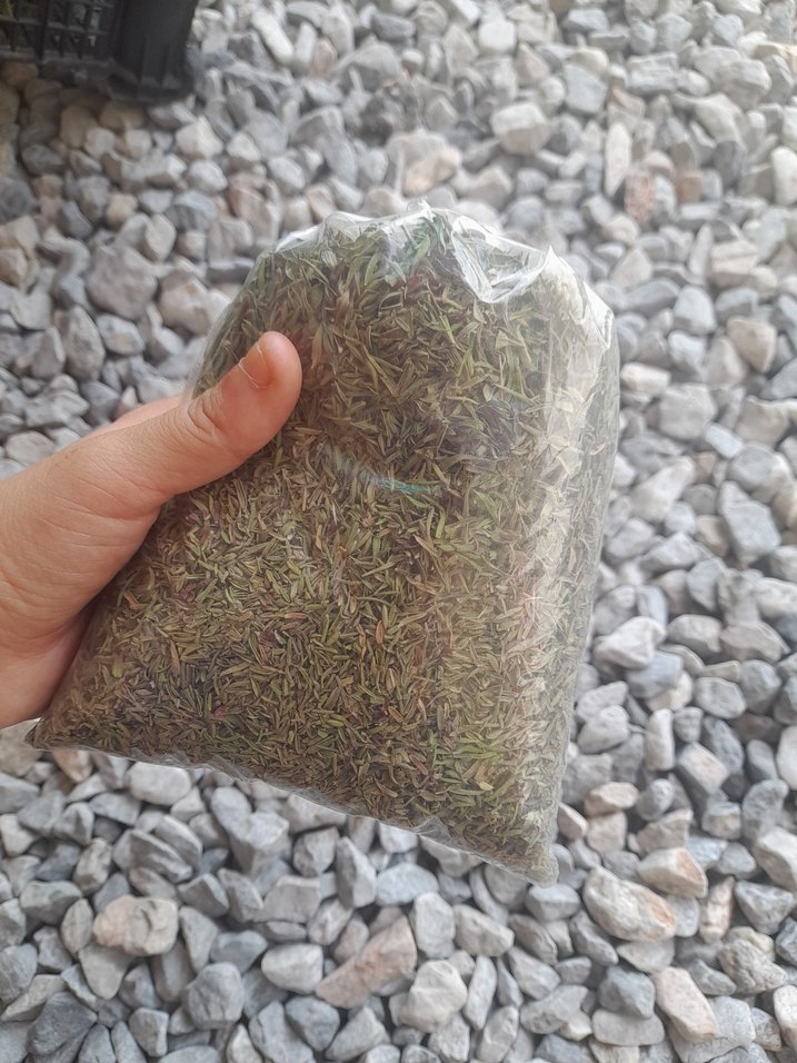 Yeşil Taze kekik - Görsel 2