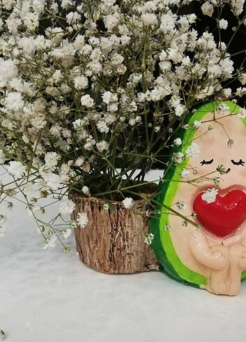 Diğer Lokumluk sunumluk kaktüs saksı