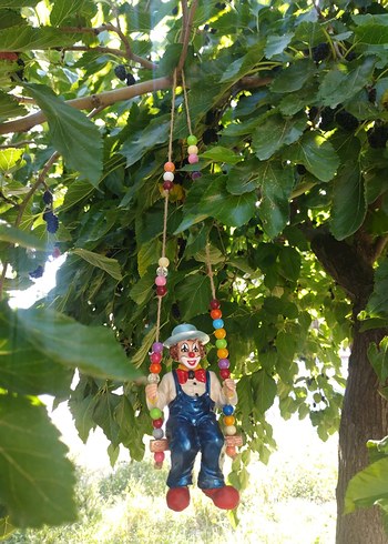 Sallanan palyaço - Görsel 12