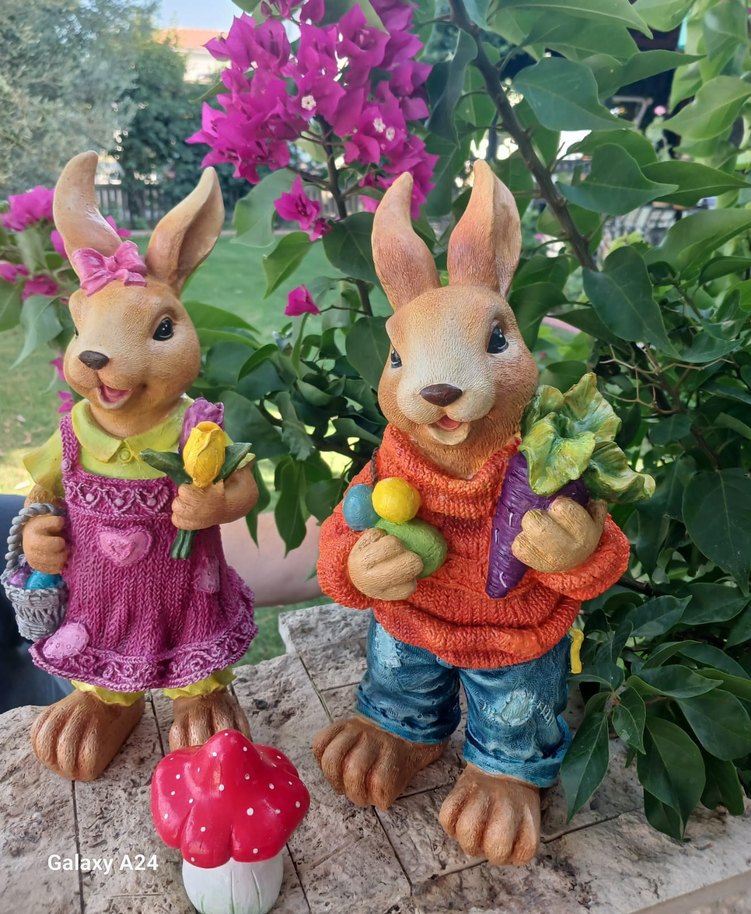 tavşan çift ve kurbağa ve yavrusu set - Görsel 4