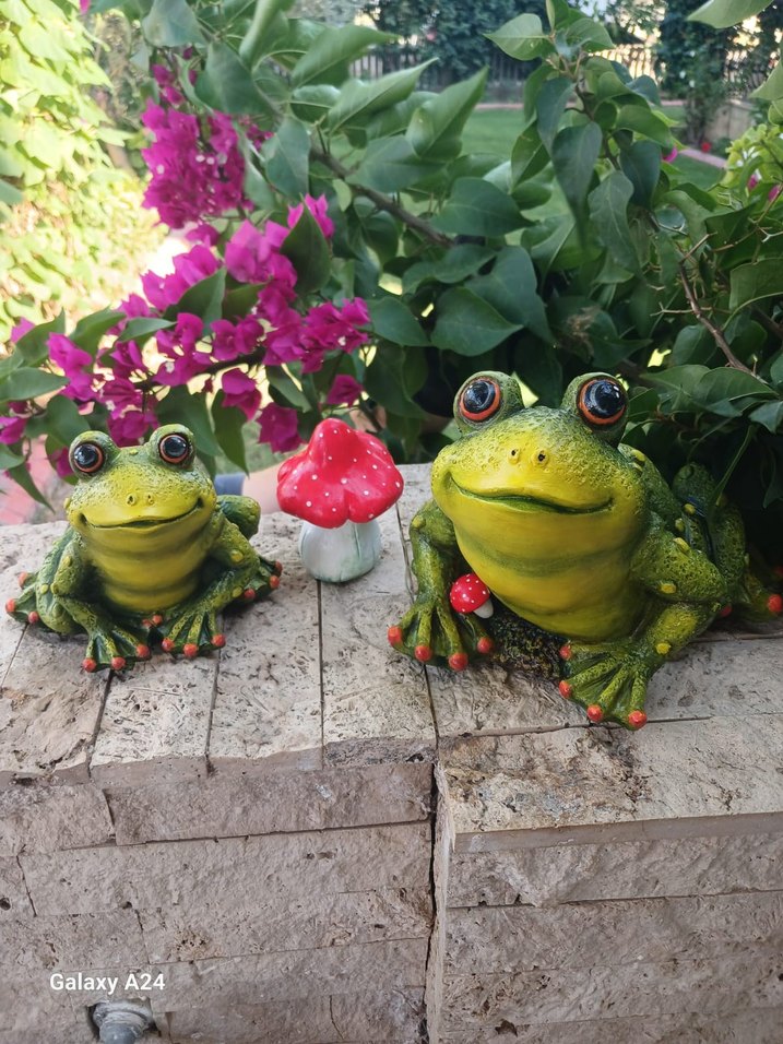 tavşan çift ve kurbağa ve yavrusu set - Görsel 5