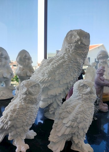 kar baykuşları - Görsel 5