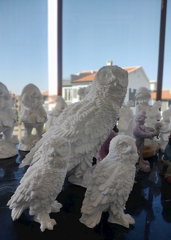 kar baykuşları - Görsel 8