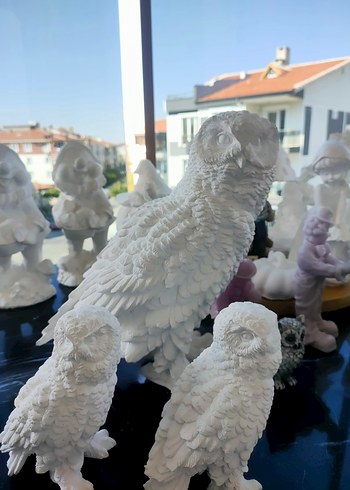 kar baykuşları - Görsel 6