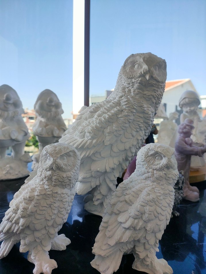 kar baykuşları - Görsel 5