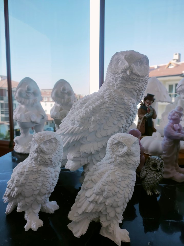 kar baykuşları - Görsel 2