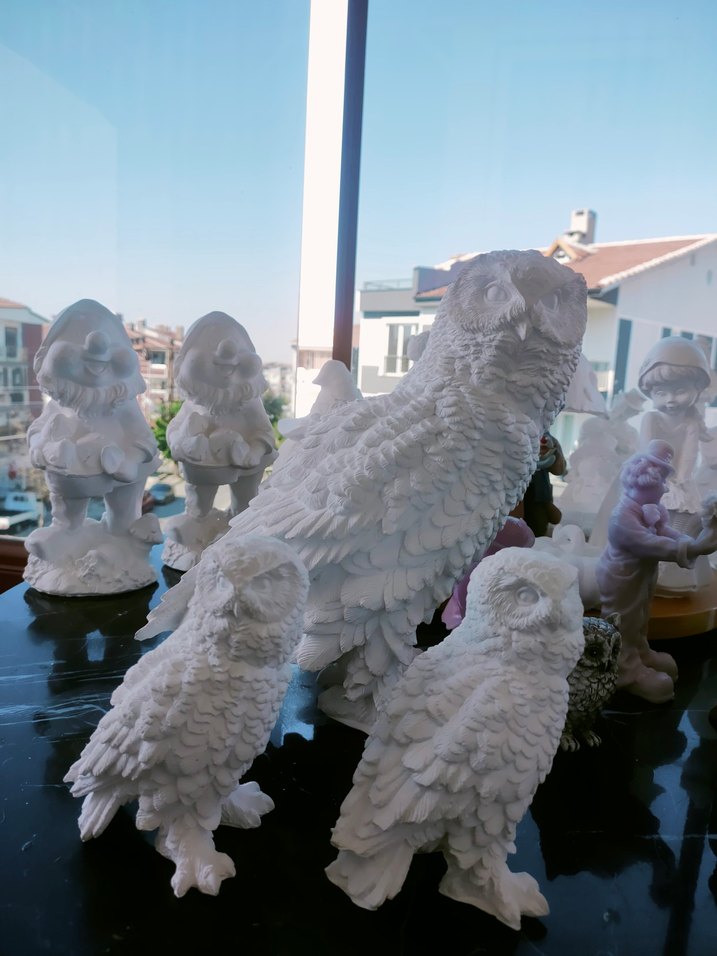 kar baykuşları - Görsel 4