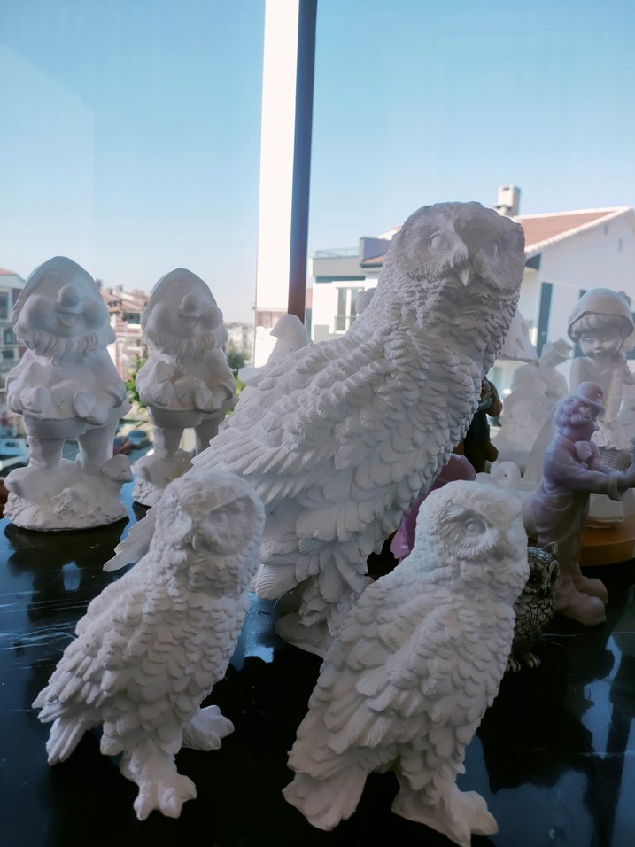 kar baykuşları - Görsel 3