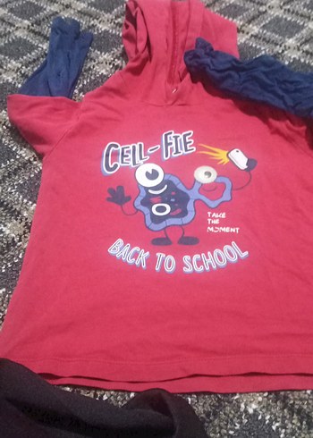 Kırmızı Erkek Sweatshirt, Uzun Kollu, Baskılı - Görsel 2