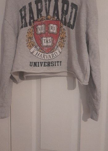 Gri Harvard Baskılı Kadın Sweatshirt - Görsel 2