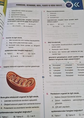 9. Sınıf Biyoloji Soru Bankası - Görsel 3