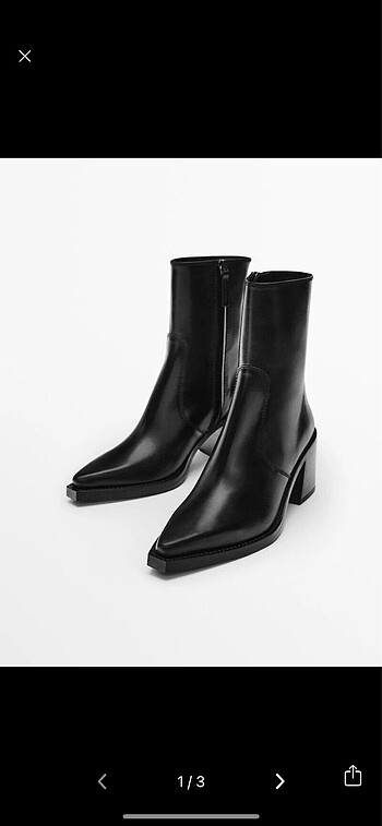 Massimo Dutti Bot