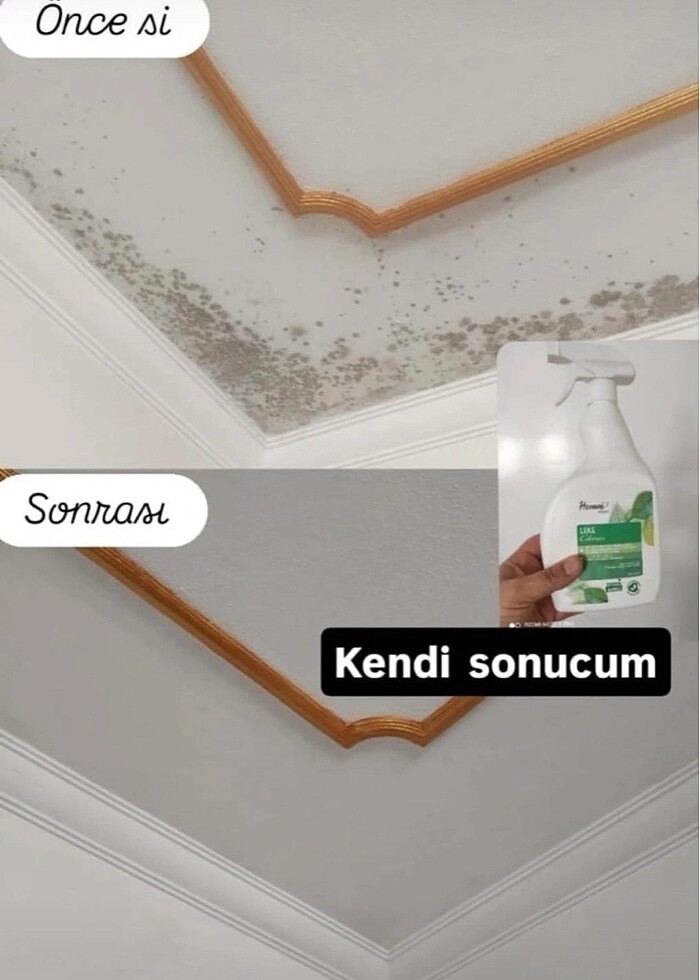 Homm Bitkisel Leke Çıkarıcı - Görsel 4