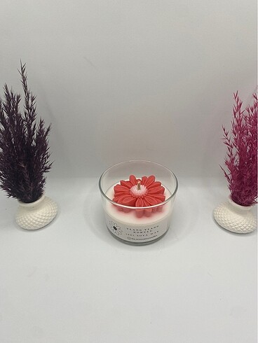 Papatya Soyawax Mum - Görsel 4