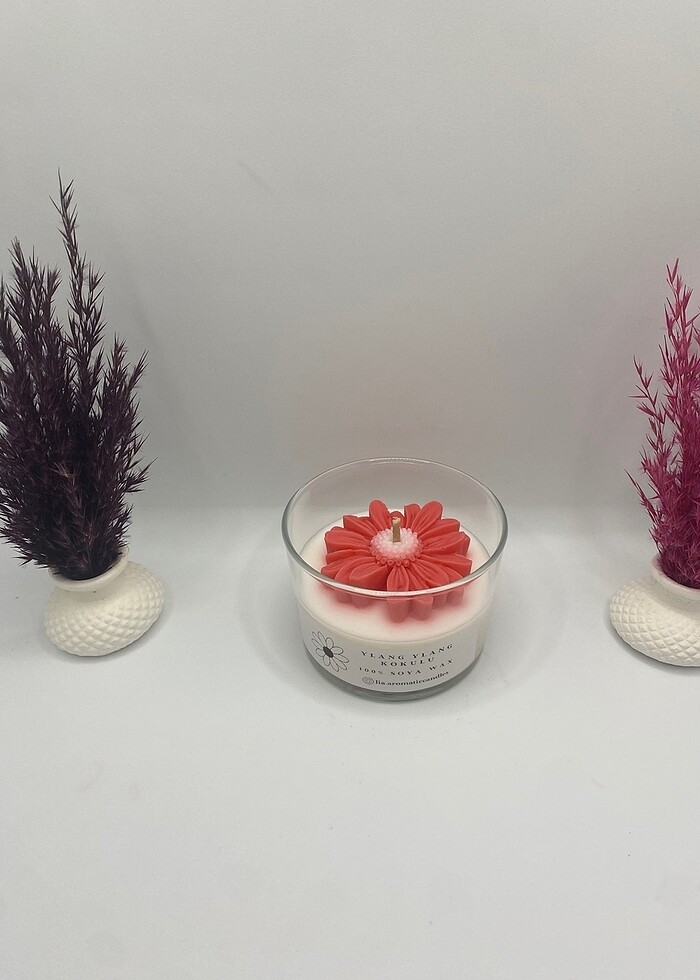 Papatya Soyawax Mum - Görsel 4