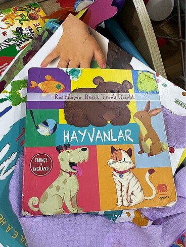 İkitane bebek kitap