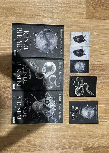 İçinde Bir Sen - Binnur Safak Nigiz