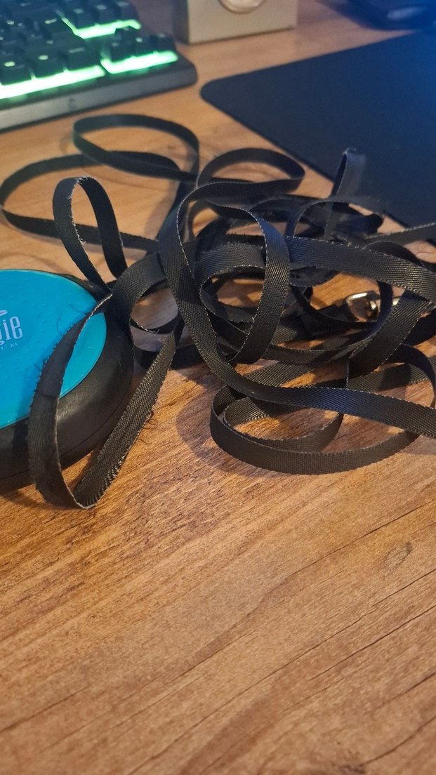 Doggie Premium 5mt Otomatik Köpek Gezdirme Kayışı - Görsel 3