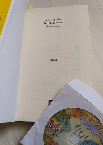 Küçük Aptalın Büyük Dünyası - Pucca Günlük