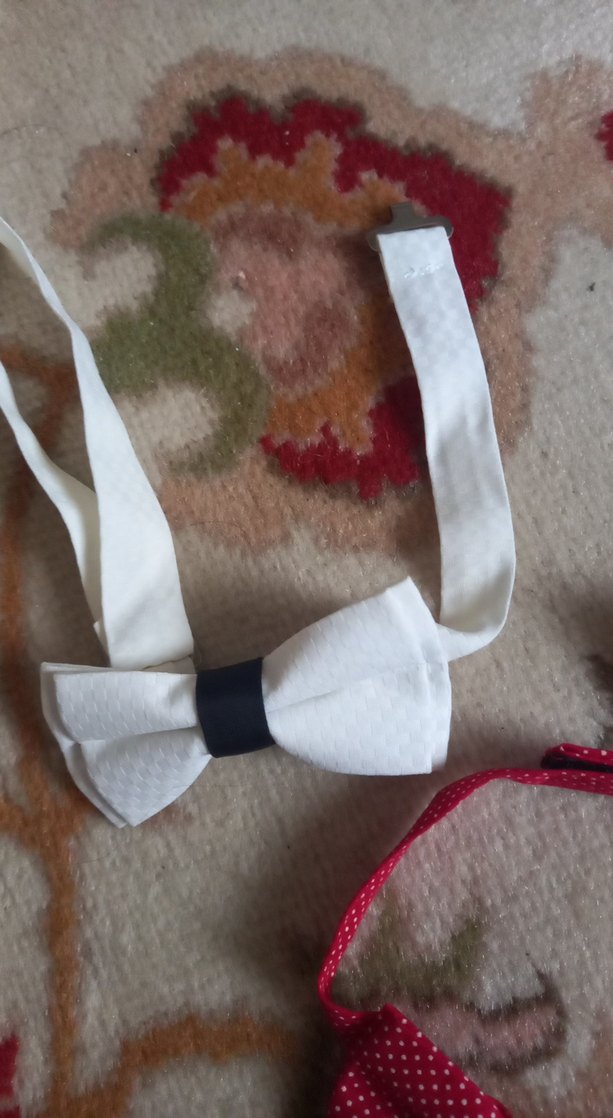 Çocuklar için Renkli Papyon Seti - Görsel 5