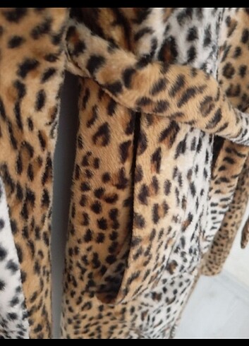 Leopar kase