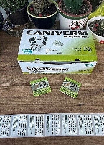 Caniverm iç parazit 