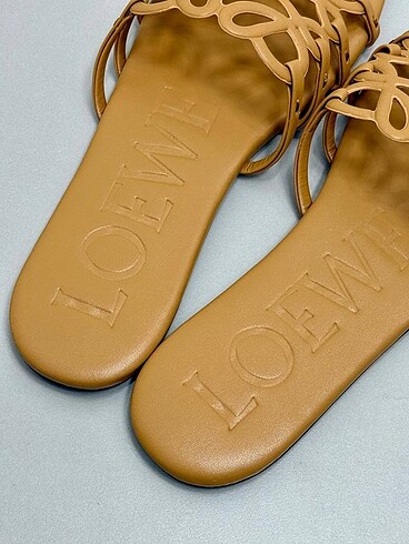 37 Beden Loewe