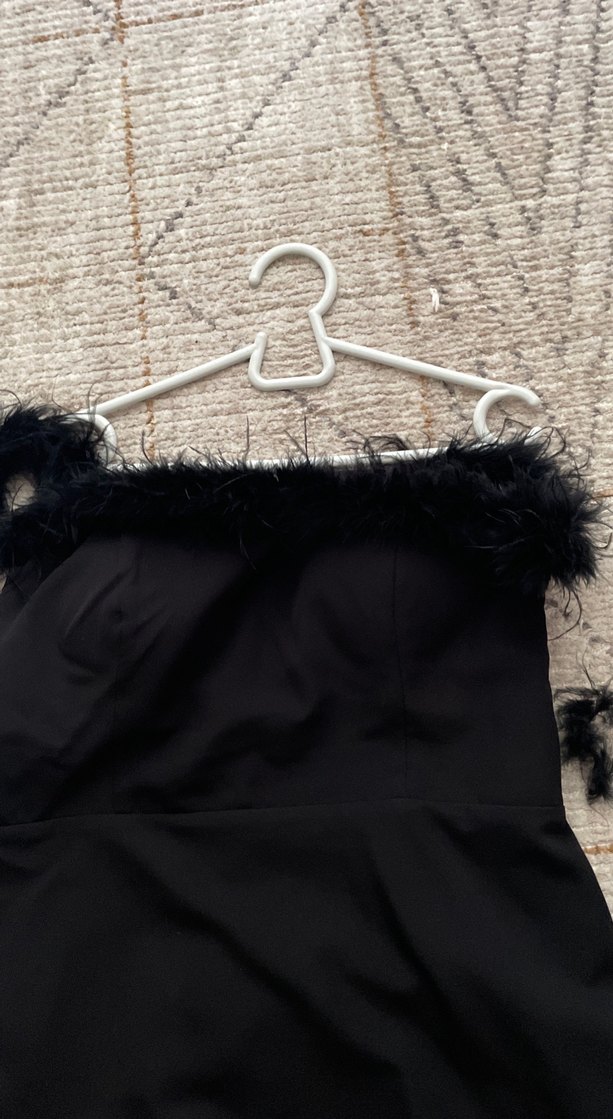 Siyah tüylü abiye - Görsel 3