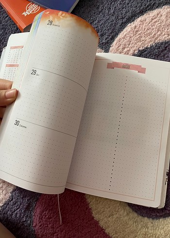Gri Kedi Desenli 2020 Defter Ajanda