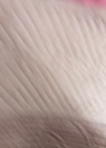 Nakışlı Gül kurusu 2çift var tek kişilk 2 tane var elimde - Görsel 2