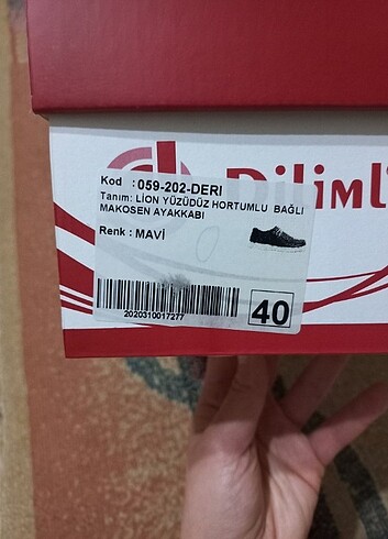 Diğer Dilimler Erkek Mavi Ayakkabı