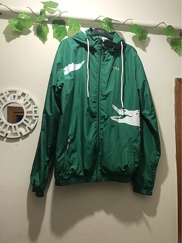 Lacoste Erkek yazlık kapşonlu ceket?