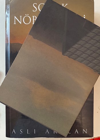 Sokak Nöbetçileri III - Aslı Arslan (CİLTSİZ) - Görsel 2