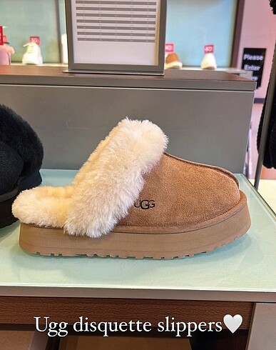 Ugg disquette terlik