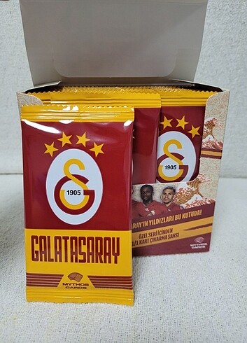 Beden Renk Galatasaray 23/24 Sezonu Elements Serisi 24 Paketli Tam Kutu