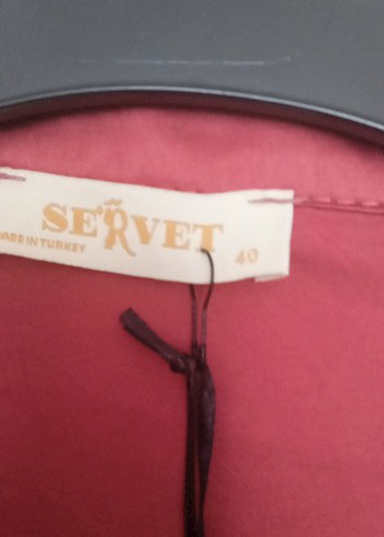 gül kurusu Uzun Kollu Düğmeli Kadın Gömlek - Görsel 3