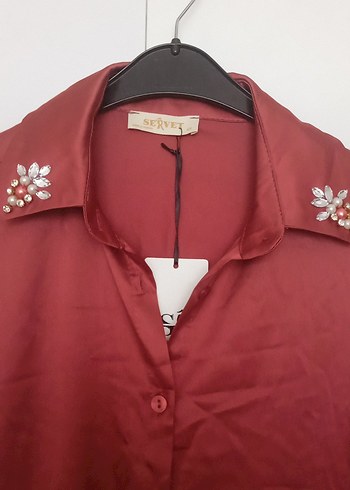 gül kurusu Uzun Kollu Düğmeli Kadın Gömlek - Görsel 2