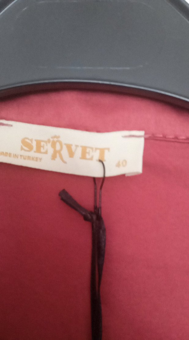 gül kurusu Uzun Kollu Düğmeli Kadın Gömlek - Görsel 3