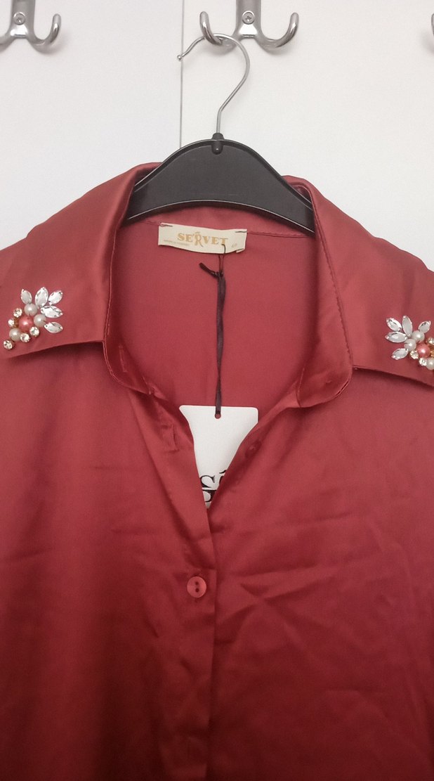 gül kurusu Uzun Kollu Düğmeli Kadın Gömlek - Görsel 2