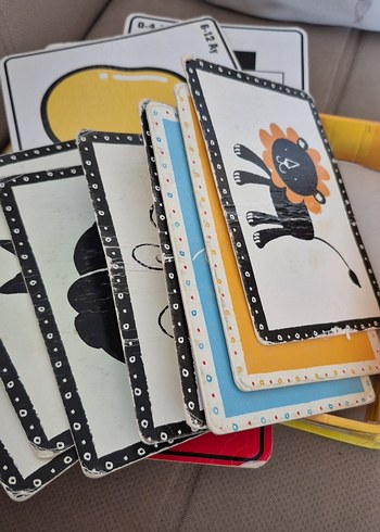 Bebeğimin İlk Zeka Kartları - 18 Görsel - Görsel 5