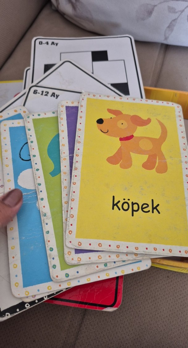 Bebeğimin İlk Zeka Kartları - 18 Görsel - Görsel 4