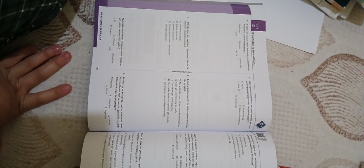 Sınav Hazırlık Test Kitabı Sayfası - Görsel 2