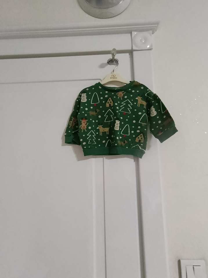 Yeşil Baskılı Erkek Çocuk Sweatshirt - Görsel 2