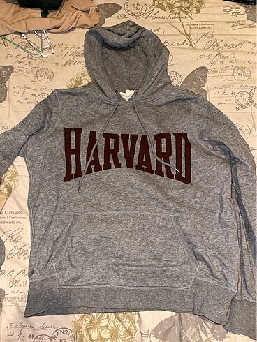 H&M Harvard Sweatshirt